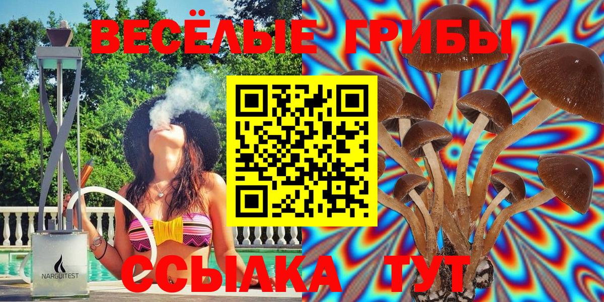 Астрахань  Галлюциногенные грибы Magic Shrooms  Вход с VPN  Галлюциногенные грибы Magic Shrooms 