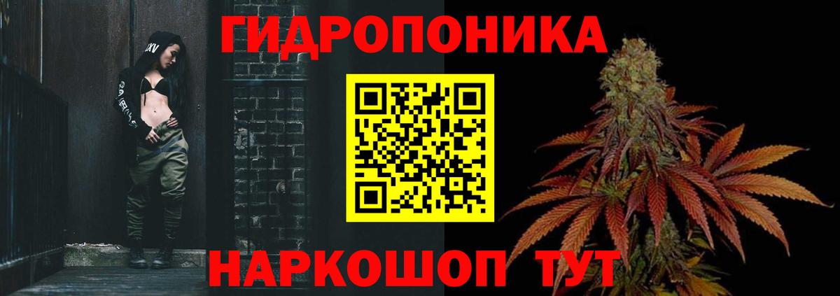 Бошки Шишки план  Канабис VHQ  Астрахань  Марихуана OG Kush  Вход с VPN 